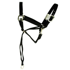 Aime Imports halter front view showing full fit and durable hardware for secure handling