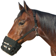 Best Friend front view attached halter showing secure fit and comfort