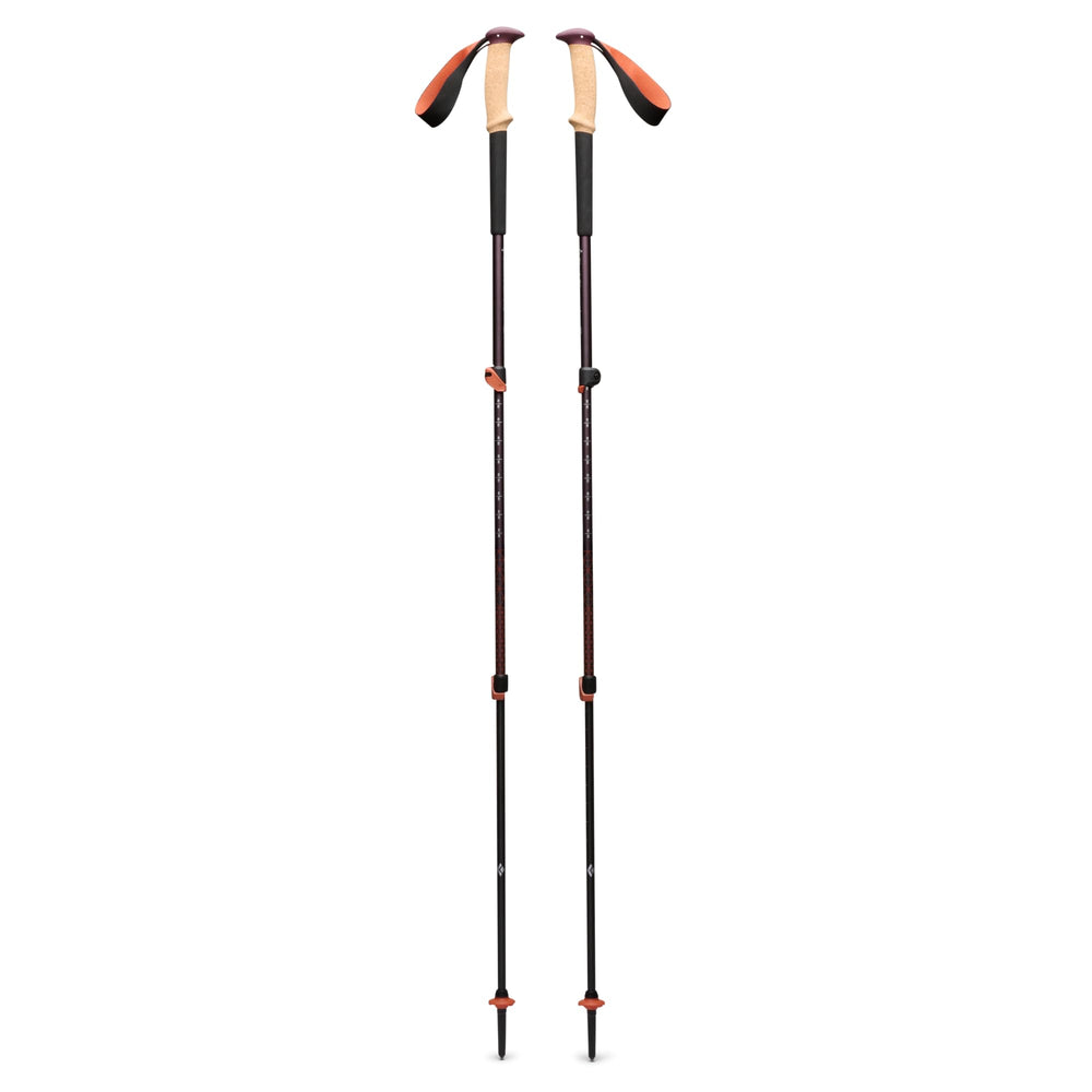 BLACK DIAMOND front view of pole pair showing cork grips and aluminum shafts for comfort