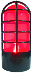 Bridge Cutters front view showing illuminated goal light and noticeable impact