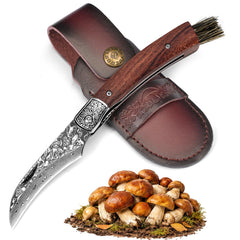 DRACHENADER front view folded knife, compact carry benefit