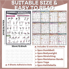 gisgfim close-up of dumbbell poster illustrations showing clear movement guidance