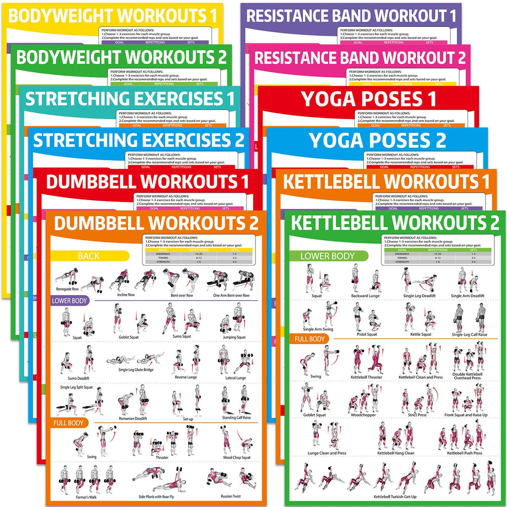 gisgfim front packaging poster set showing all 12 charts and benefits