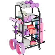 Homeiju front view of full rack showing neat dumbbell organization and saved floor space