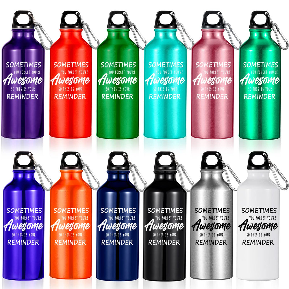 Hoolerry 12-pack front view showing assorted colored bottles and packaging for easy selection