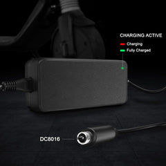 JUYOON charger connected to electric scooter for safe and consistent charging