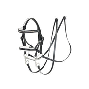 LeMieux double bridle front view showing full leather set and two reins for realistic play