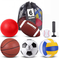Libima front shot showing all six balls and mesh carry bag for easy organization