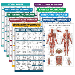 Palace Learning front view of full 11-poster set showing topics and organization benefits