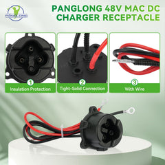 Panglong close-up of pin contacts highlighting secure electrical connection