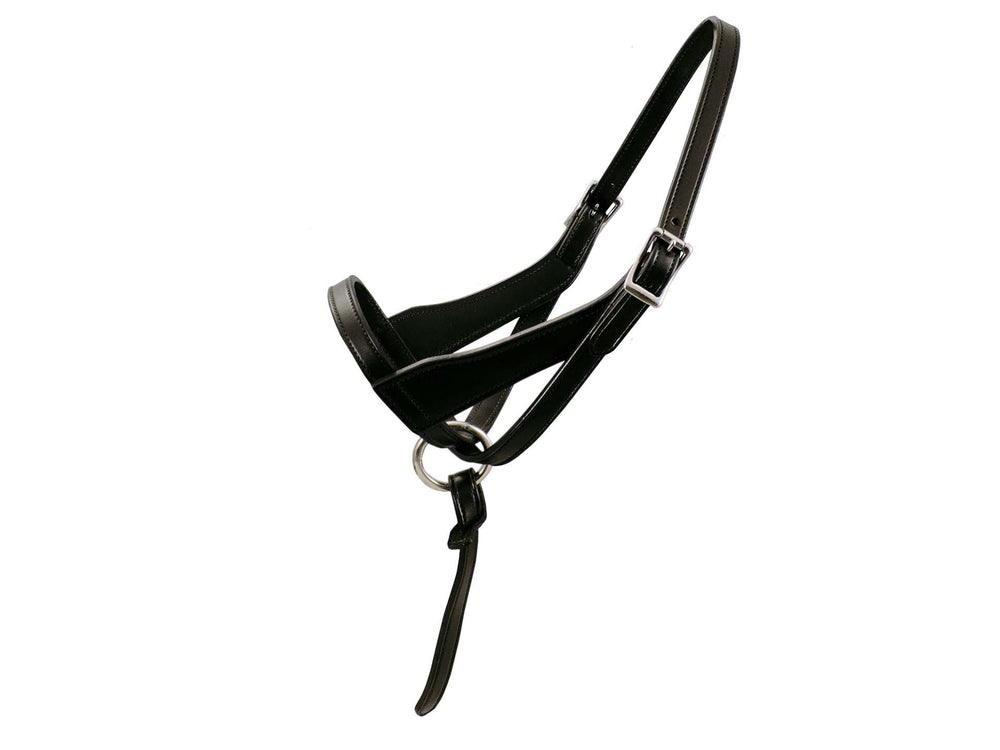 Paris Tack halter front view showing fit and durable leather benefit