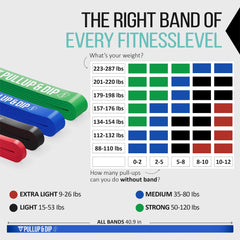 PULLUP & DIP bands laid out to show color-coded strengths and easy selection