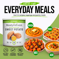 Close-up texture of Ready Harvest sweet potato pieces highlighting easy rehydration