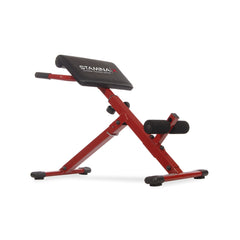 Stamina front view of bench showing stable frame and compact design for home workouts