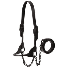 Weaver Livestock front view of halter showing streamlined silhouette and professional finish