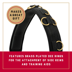 Weaver Equine dee rings arrangement illustrating versatile attachment points benefit
