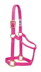 Weaver Equine halter front view showing stabilizing hardware and durable nylon for long-lasting use
