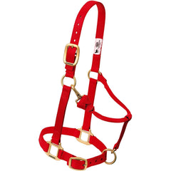 Weaver Equine halter front view showing sturdy 1 inch nylon, durable fit