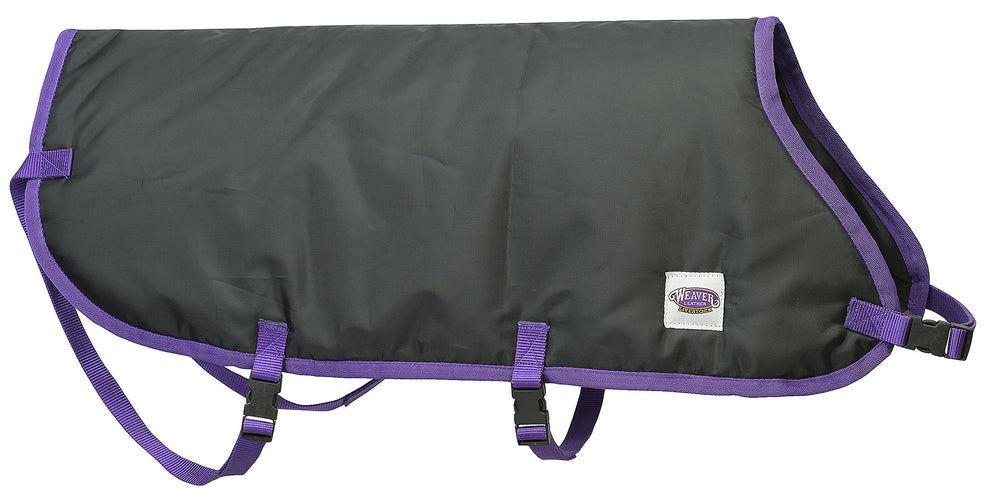 Weaver Livestock front view of blanket showing fit and coverage benefit