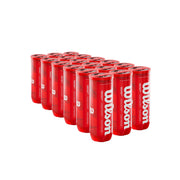 Wilson padel X3 front packaging showing box of 24 tubes for easy club restocking