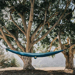 Wise Owl Outfitters tree straps with carabiners showing quick secure setup