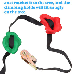 Youeon holds mounted on a large tree illustrating no-drill installation