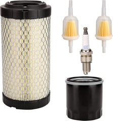 10L0L fuel filters pair displayed for easy dual-line or replacement convenience