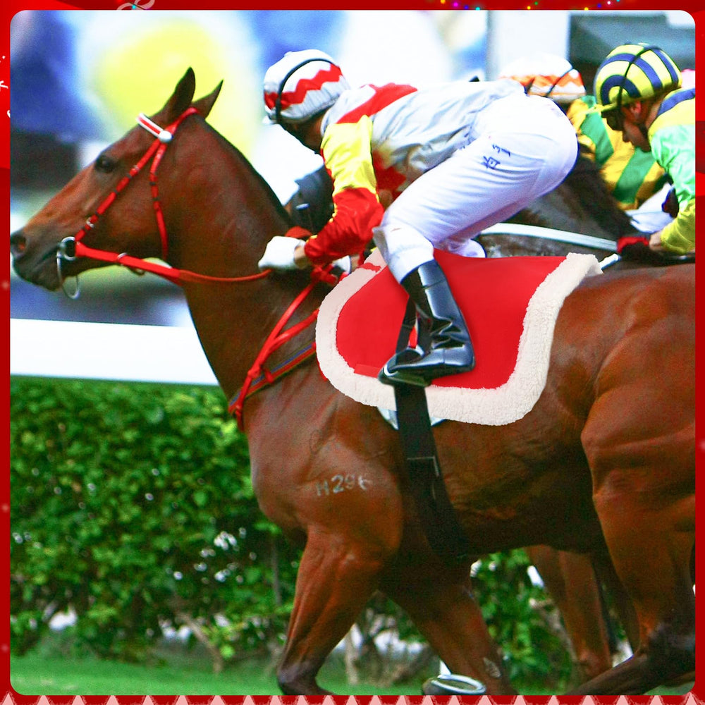 Abbylike packaged saddle pad as gift-ready, lightweight and portable