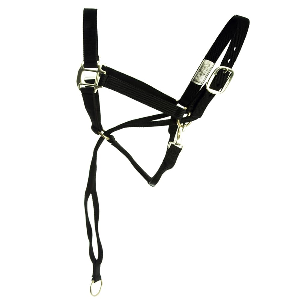 Aime Imports crown strap close-up highlighting poll-pressure design and adjustable buckle
