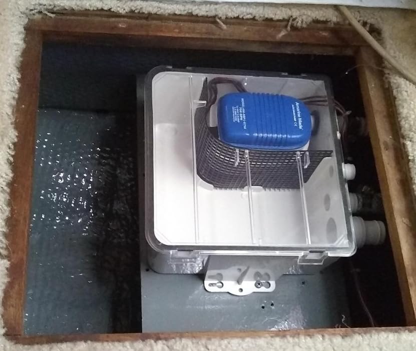 Amarine Made clear lid close-up revealing interior and visual inspection convenience