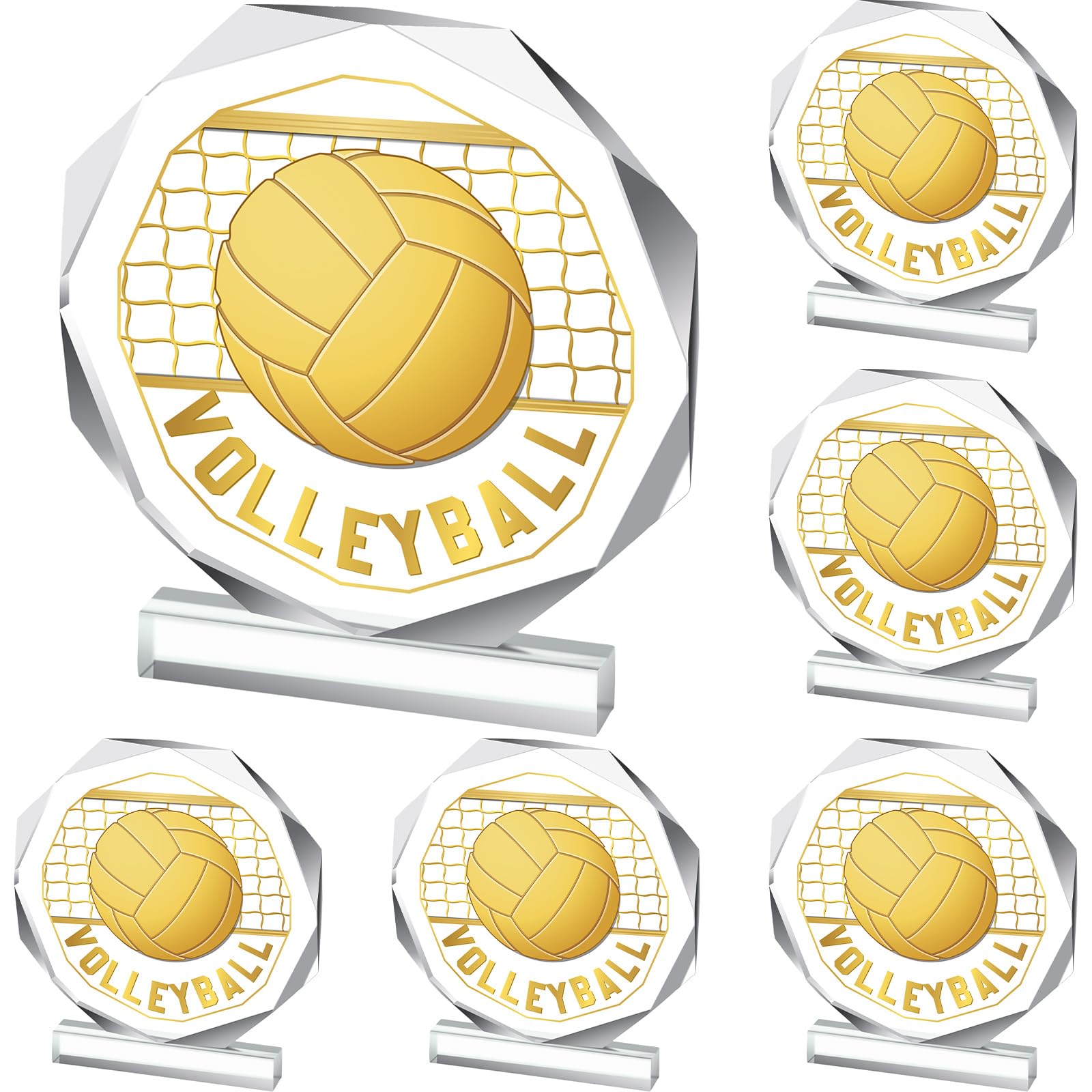 Anglechic front view of volleyball trophy showing polished design and proud display