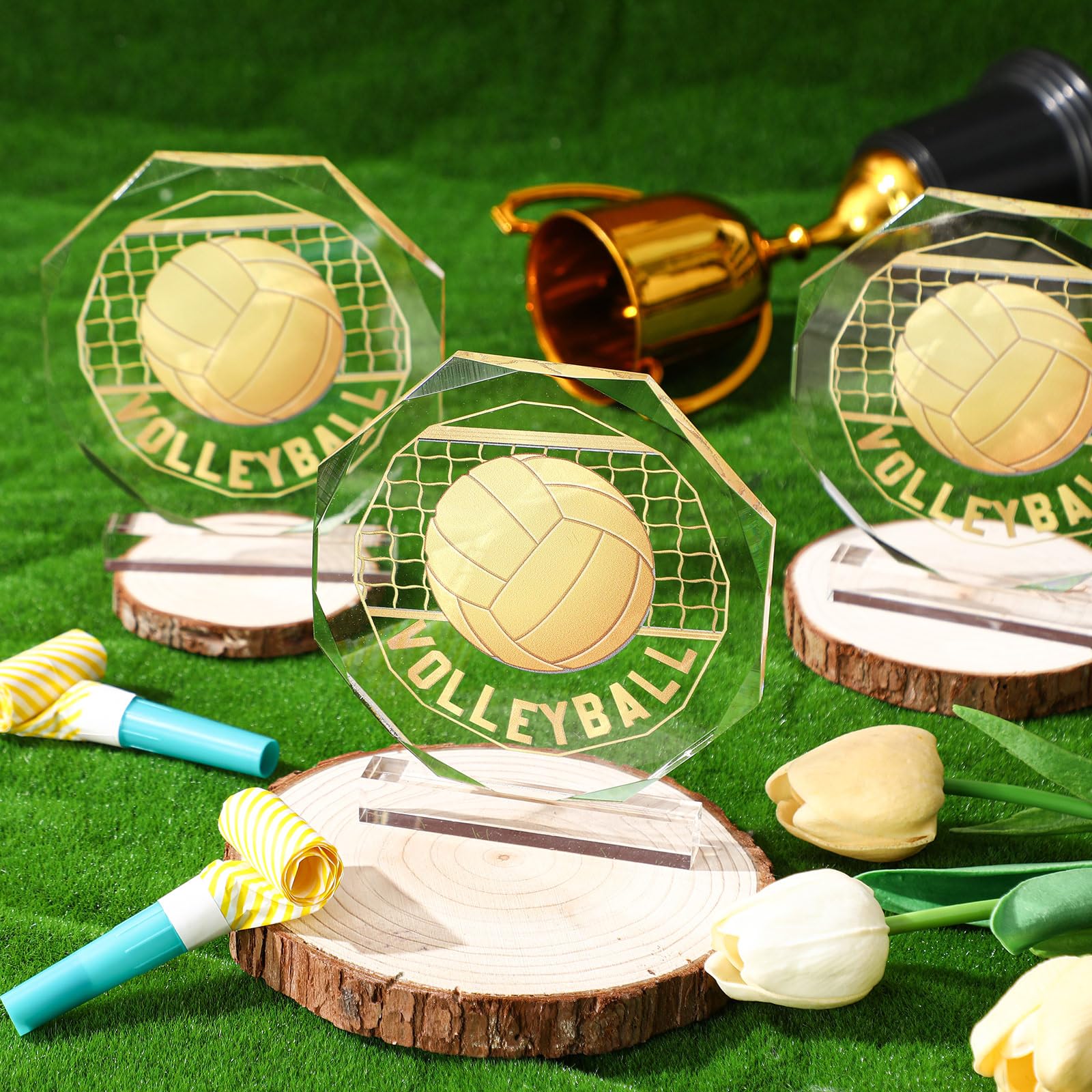 Anglechic set of six trophies displayed together showing cohesive team recognition
