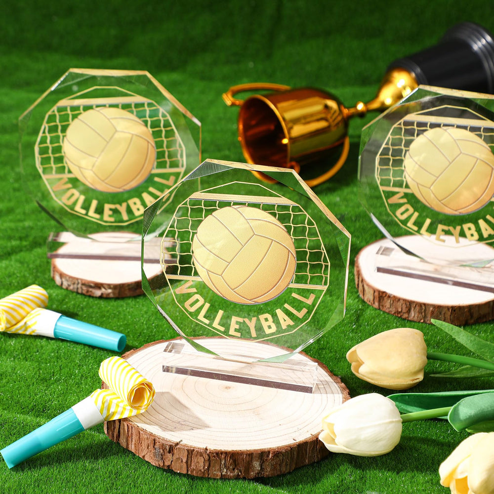 Anglechic set of six trophies displayed together showing cohesive team recognition