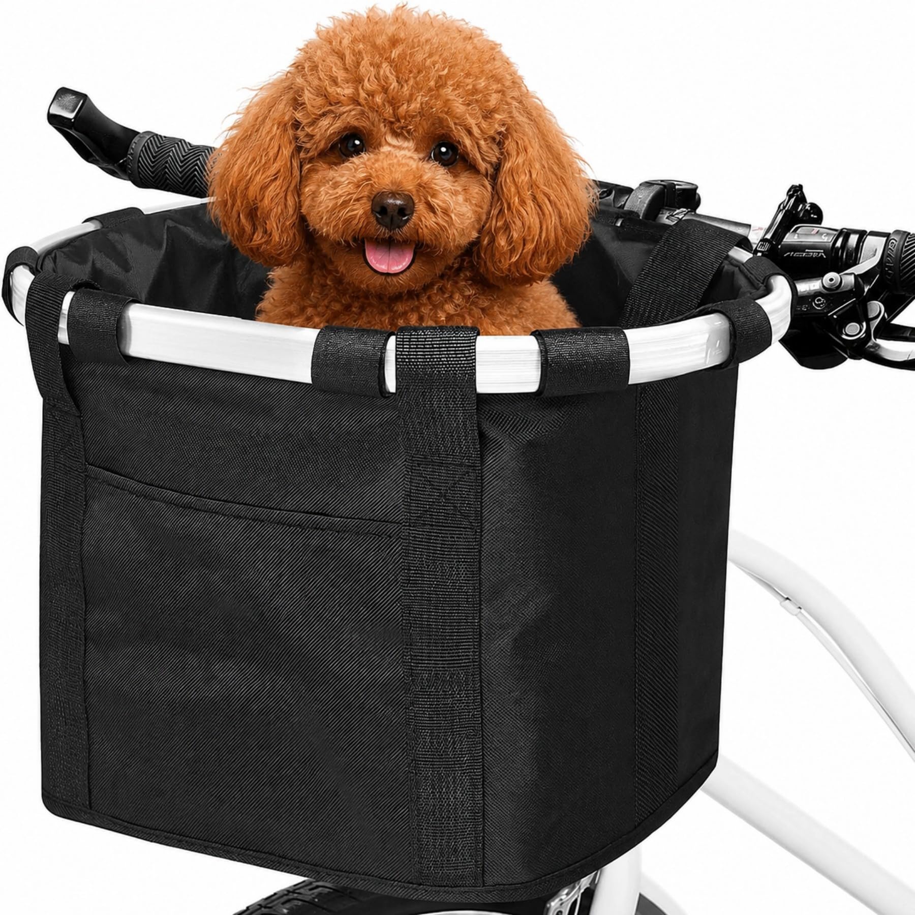 ANZOME front basket front view showing structured carrier and access — secure travel