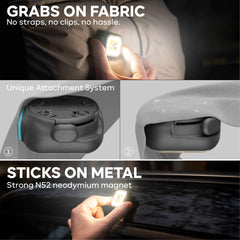 Apace Vision Meolight attached to dog collar boosting pet visibility during evening walks