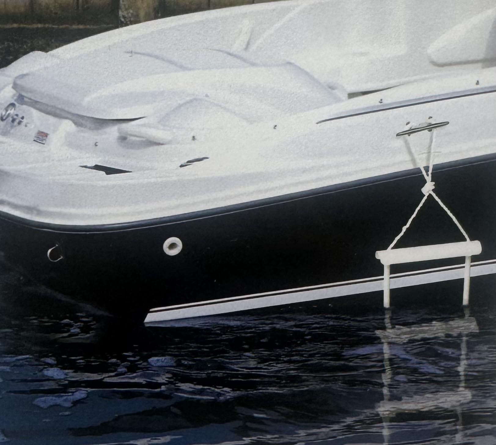 attwood ladder on swim platform in lifestyle scene enabling easy reboarding