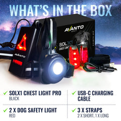Avanto clip lights attached to dog leash offering added rear safety