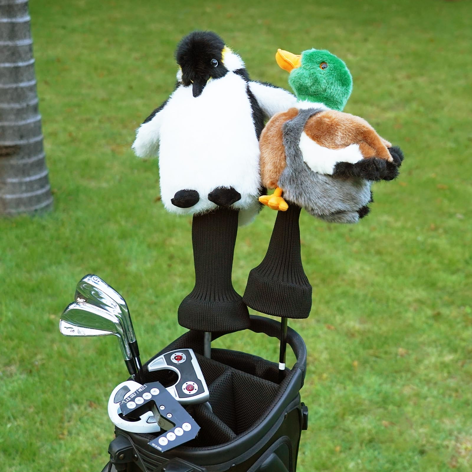 Big Crazy penguin headcover gift packaging in lifestyle scene ideal for present-giving