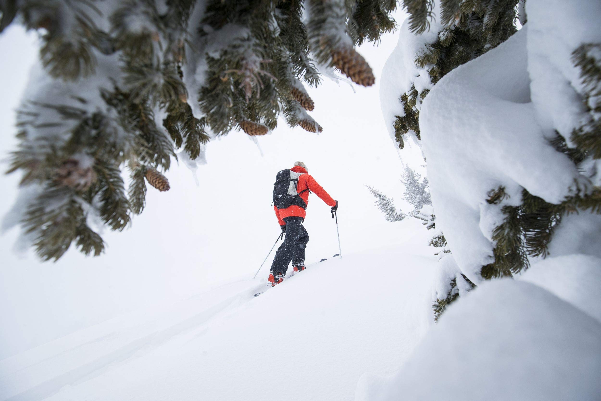 Black Diamond Guide BT beside backcountry gear illustrating readiness in the field