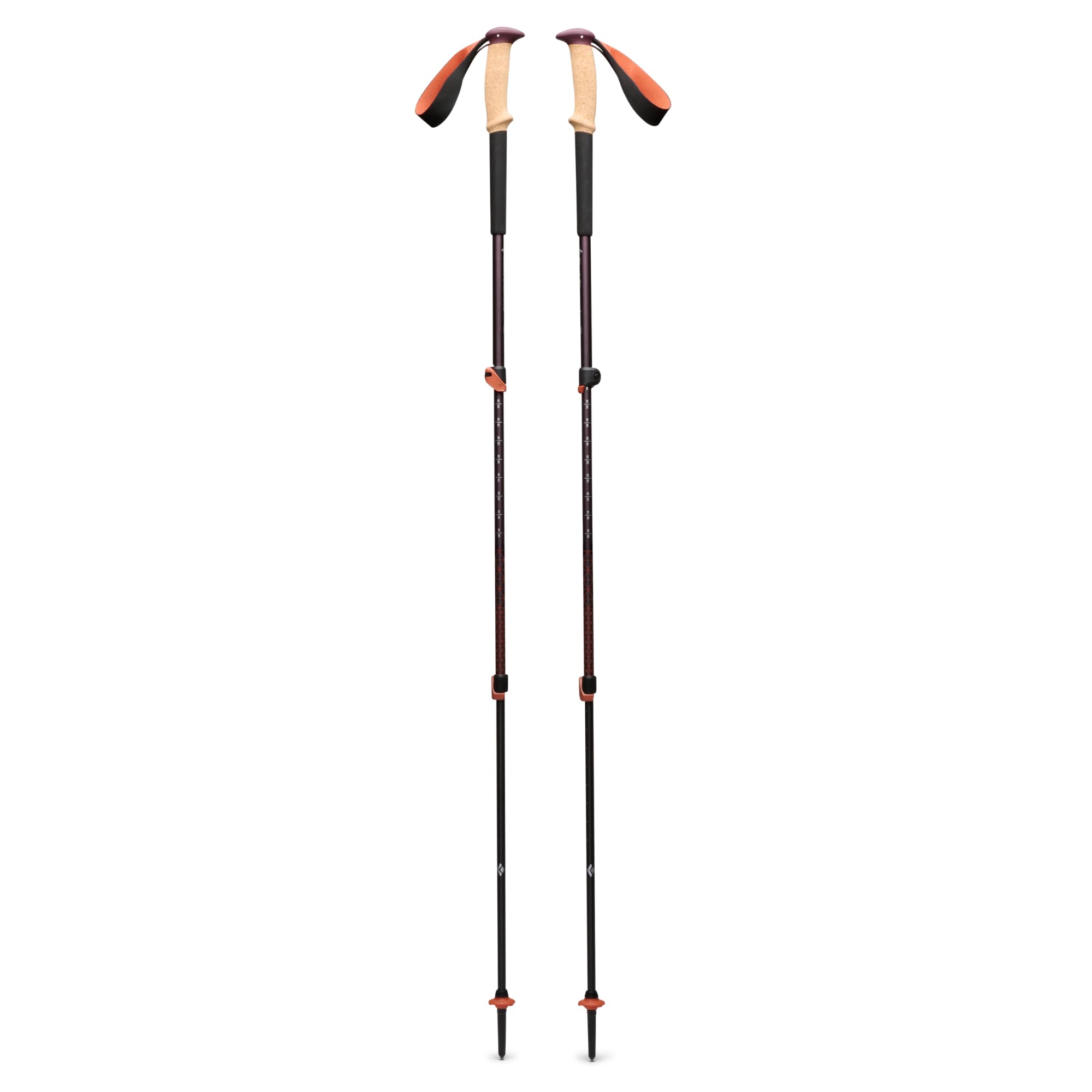 BLACK DIAMOND front view of pole pair showing cork grips and aluminum shafts for comfort