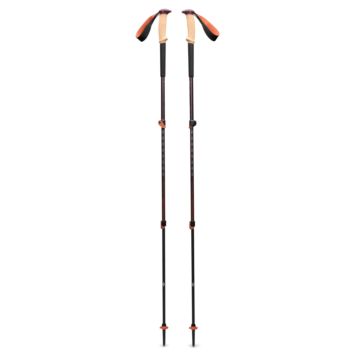 BLACK DIAMOND front view of pole pair showing cork grips and aluminum shafts for comfort