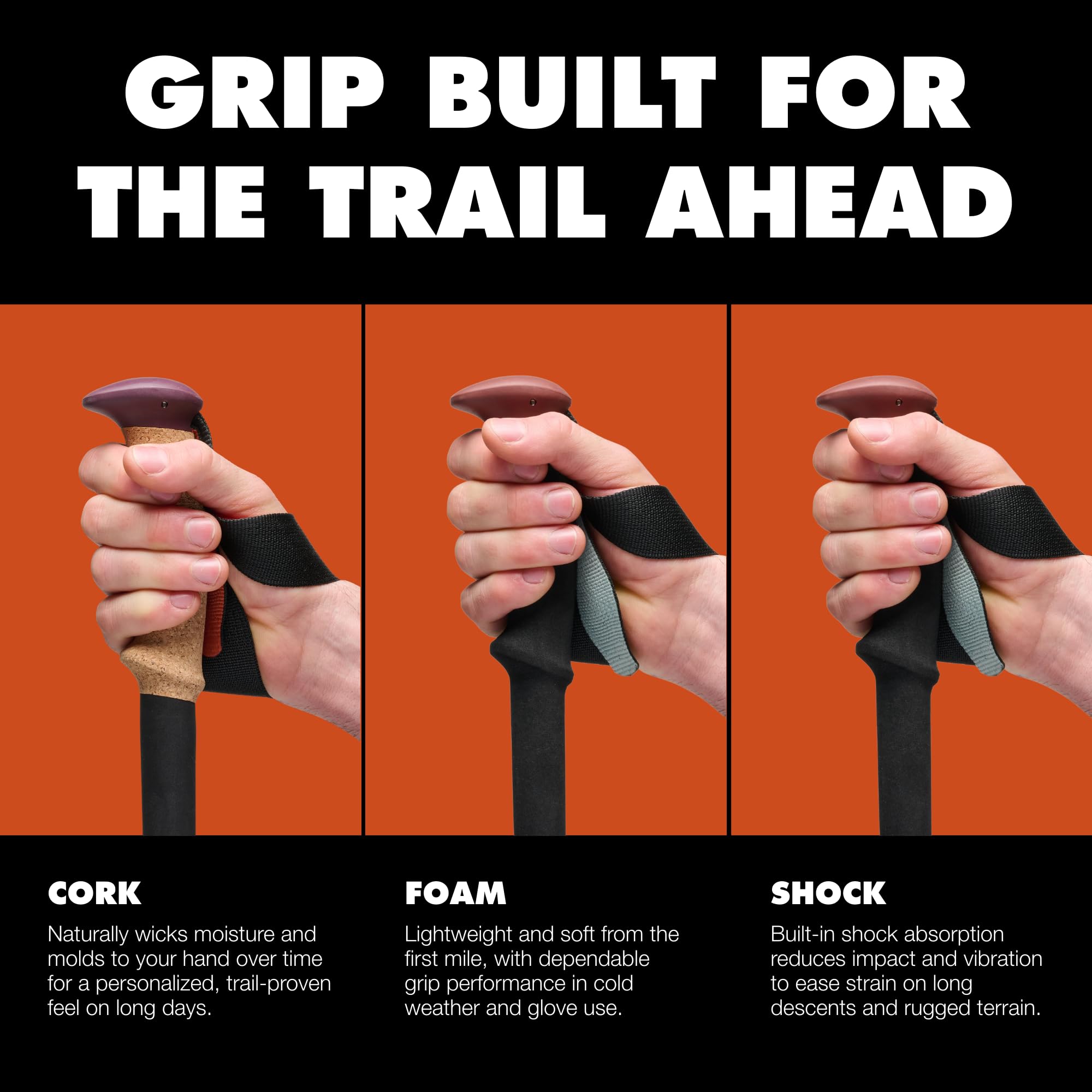 BLACK DIAMOND poles used while snowshoeing showing four-season versatility