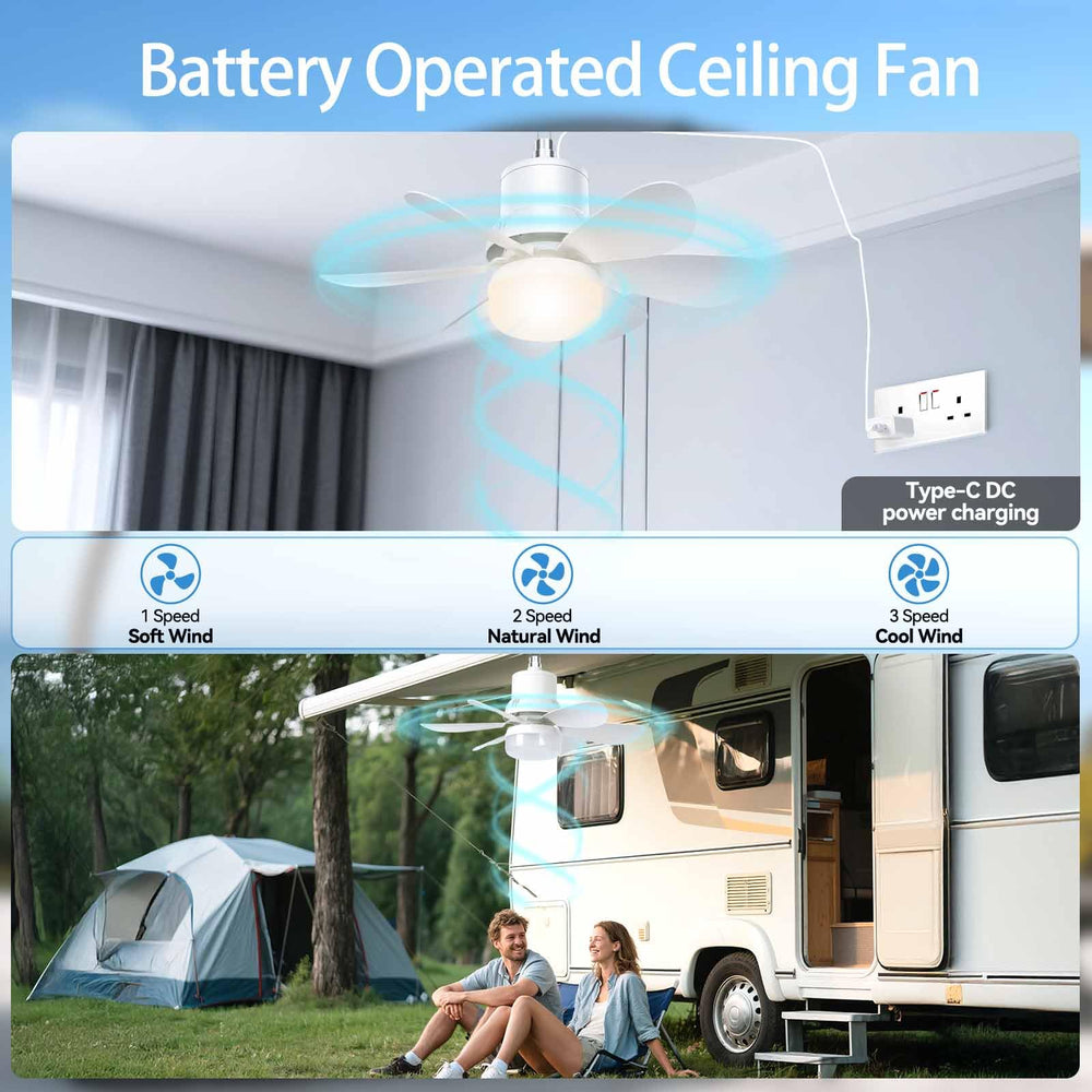 Brioeua mounted in tent providing cool airflow and bright lighting