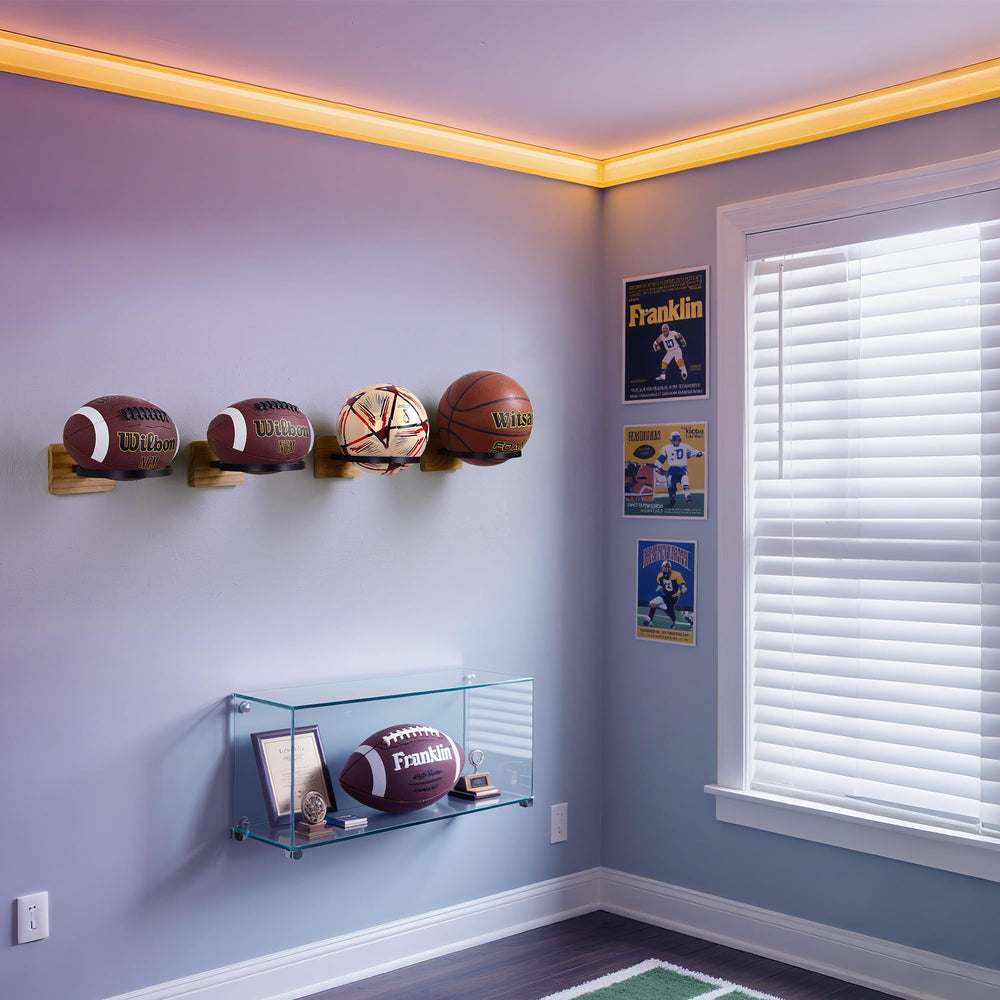 Daoun lifestyle garage display with balls organized and floor space cleared