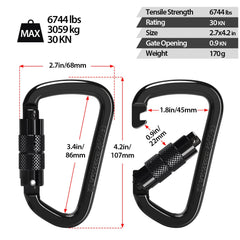 DC QZHMKJ PET detail of spine and D-shape demonstrating concentrated strength
