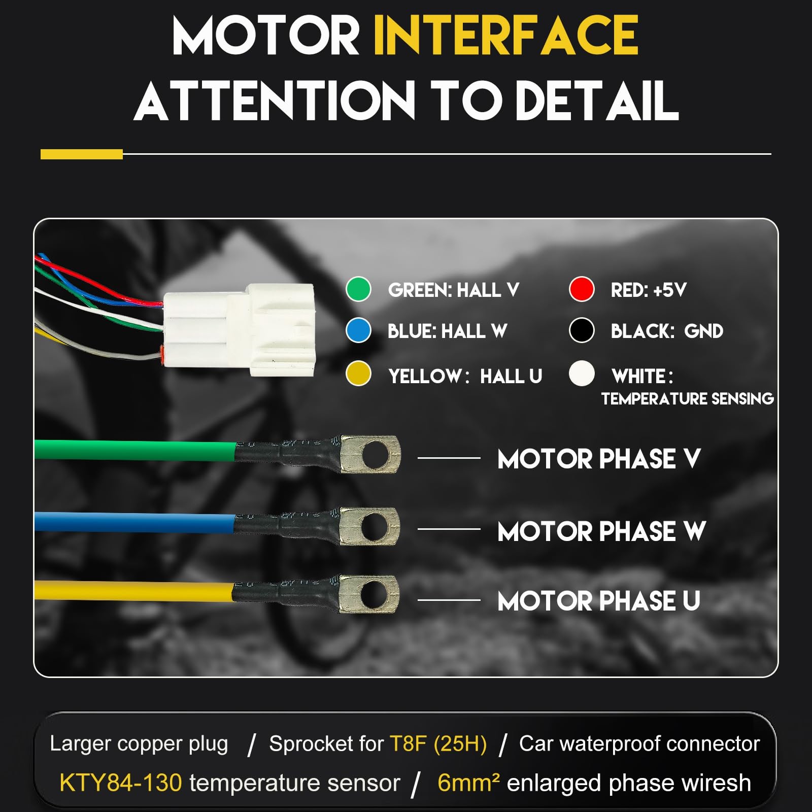 doinal motor next to ruler for size and scale, helps vehicle fit assessment