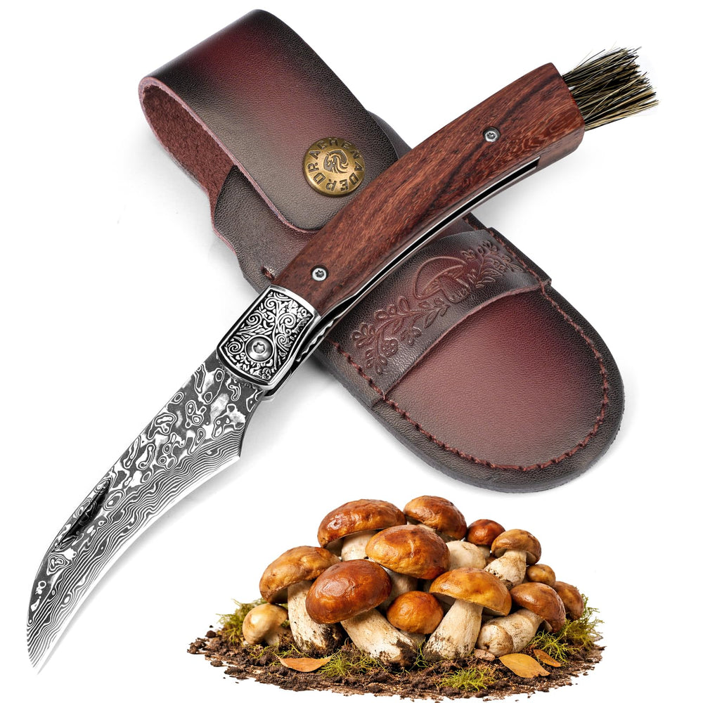 DRACHENADER front view folded knife, compact carry benefit