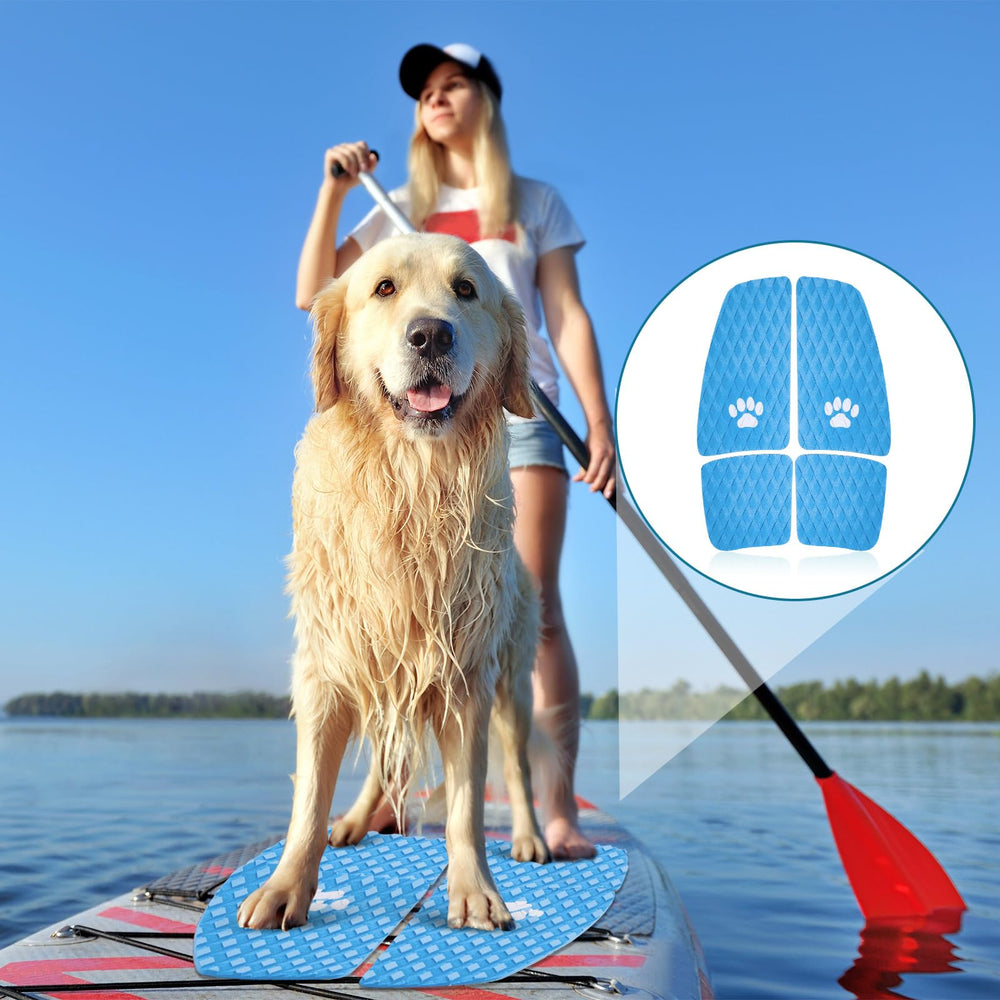 Drydiet lifestyle shot on beach gear creating safer outdoor pet adventures