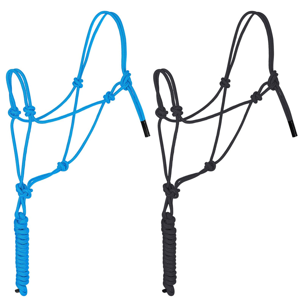 Dunzy front view of both black and turquoise halters showing dual-color set and ready-to-use benefit