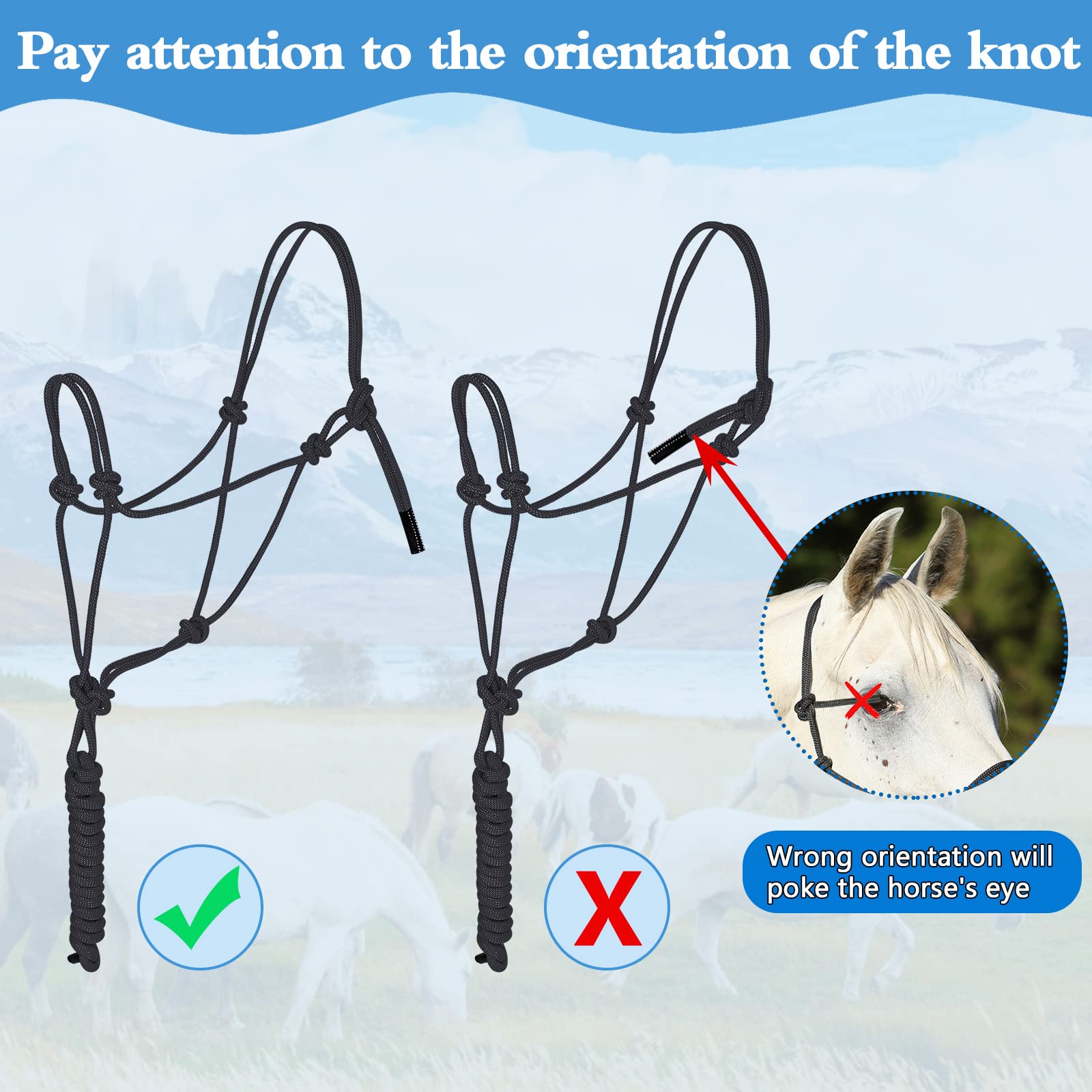 Dunzy side profile of halter worn on horse demonstrating fit and comfortable control benefit